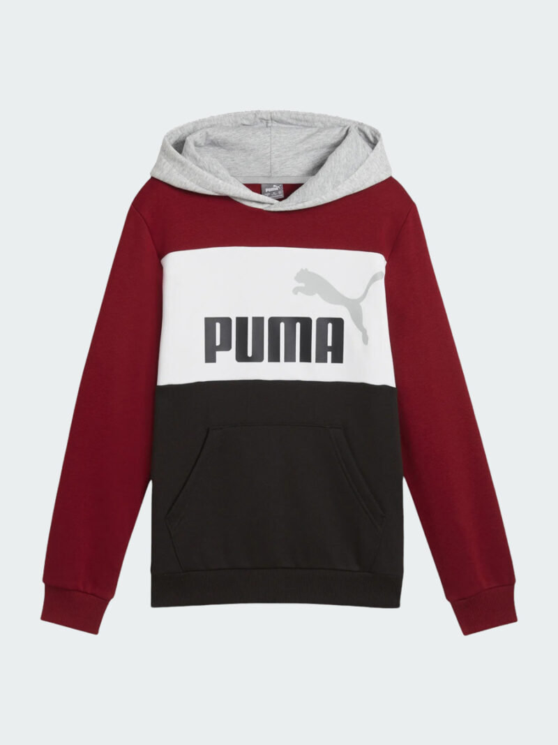 Felpa con cappuccio "Essentials Colorblock"