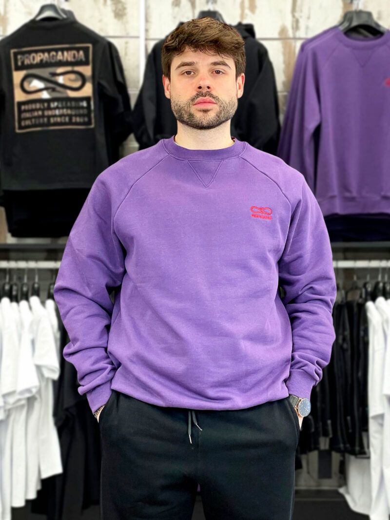 Felpa raglan 